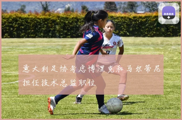 意大利足协考虑博涅克和马尔蒂尼担任技术总监职位